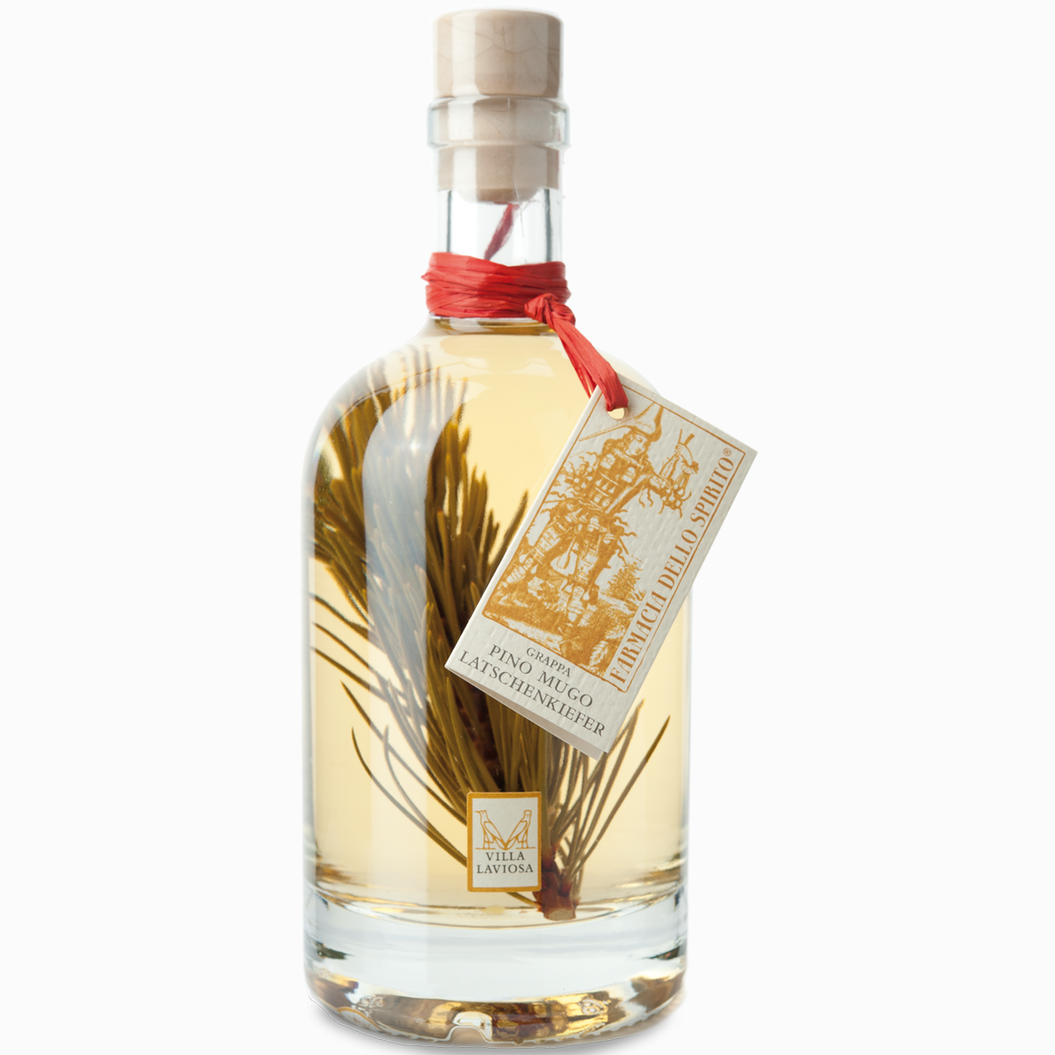 Villa Laviosa Grappa Pino Mugo Latschenkiefer